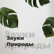 Звуки Природы - 101.ru